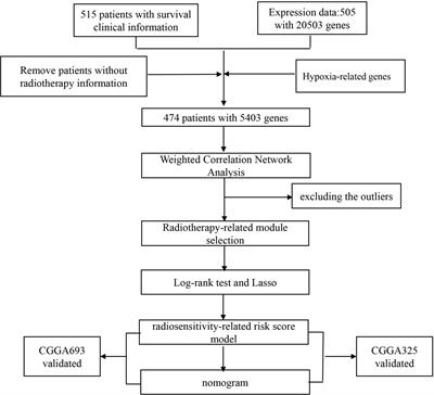 A Radiosensitivity Prediction Model Developed Based on Weighted Correlation Network Analysis of Hypoxia Genes for Lower-Grade Glioma